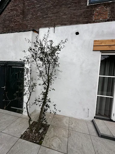 Woning met patio en olijfboompjes